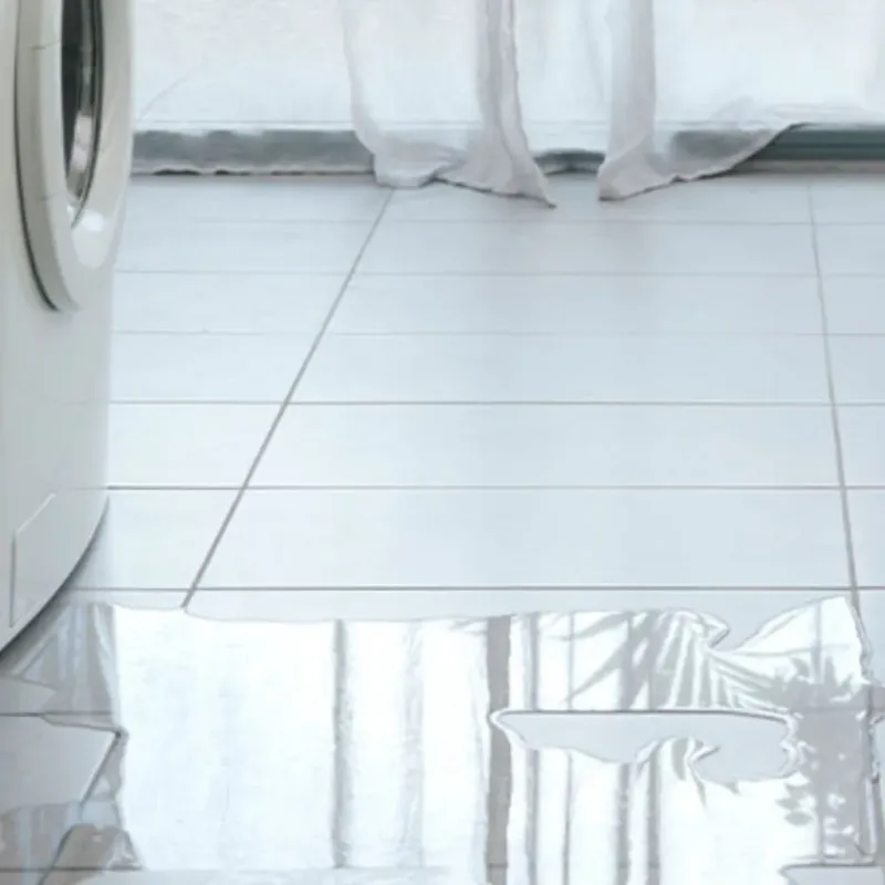 Appliance Leak Cleanup in Nicholasville, KY