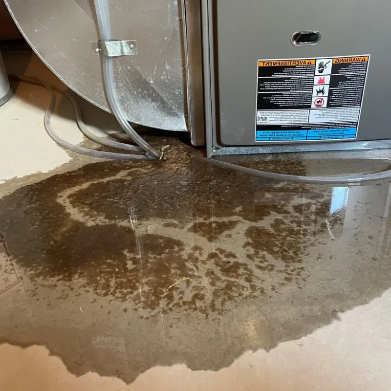 Pipe Burst and Leak Restoration in Nicholasville, KY