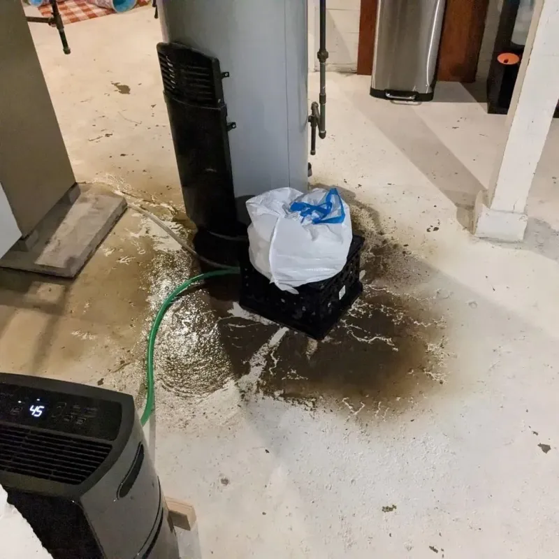 Sewage Backup Cleanup Service in Nicholasville, KY